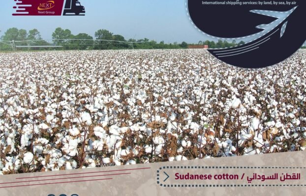Sudanese cotton is the most important agricultural crop in Sudan and its white gold